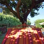 O Ze Ja Dormiu Aqui *