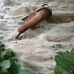 O Ze Ja Dormiu Aqui