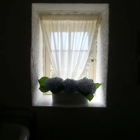 펜션 O Ze Ja Dormiu Aqui