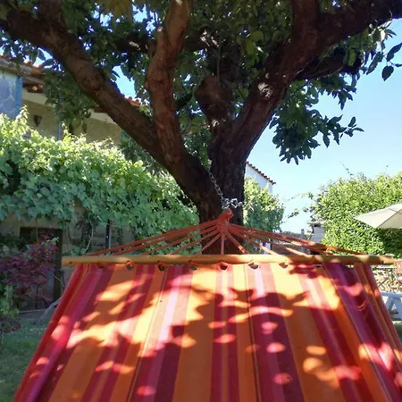 O Ze Ja Dormiu Aqui *