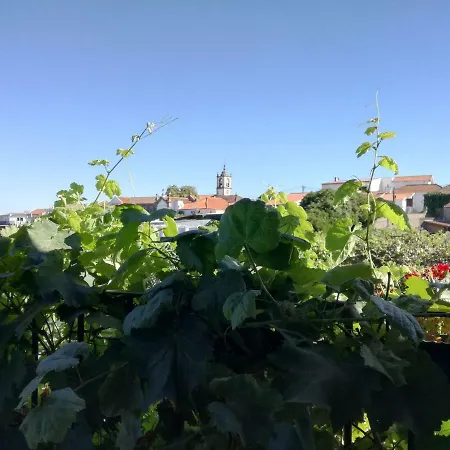 O Ze Ja Dormiu Aqui 度假居