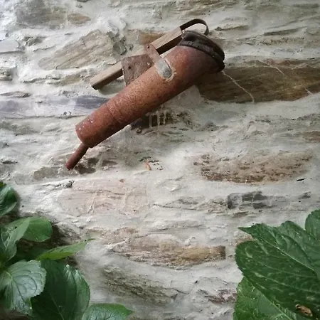 O Ze Ja Dormiu Aqui