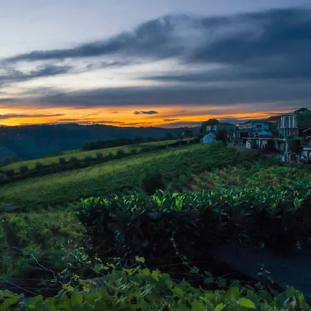 O Ze Ja Dormiu Aqui 度假居 Celeiros