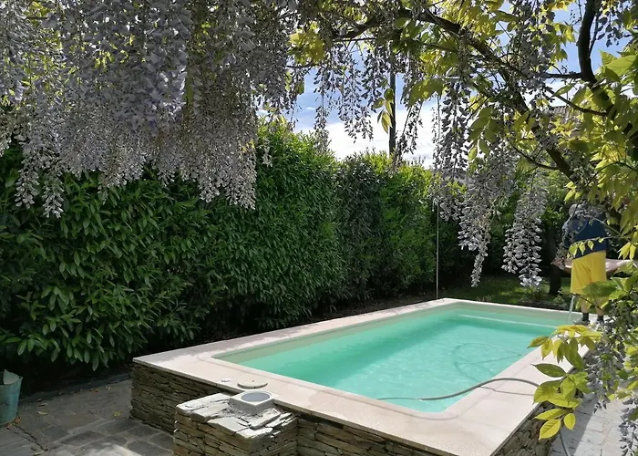 O Ze Ja Dormiu Aqui *