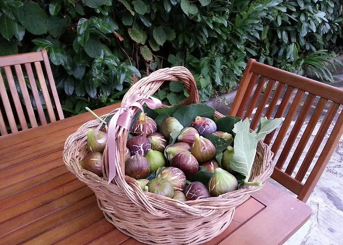 O Ze Ja Dormiu Aqui * Celeiros