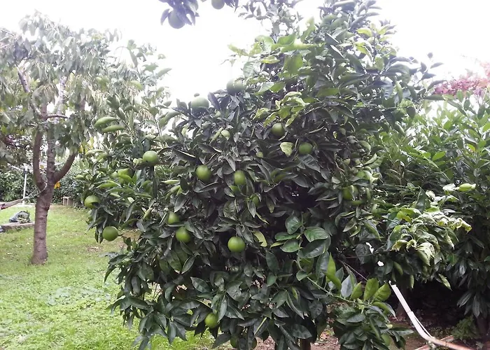 度假居 O Ze Ja Dormiu Aqui