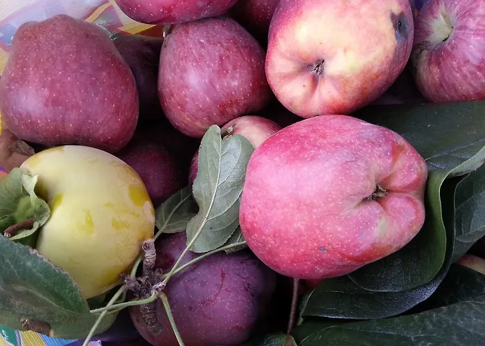 O Ze Ja Dormiu Aqui 度假居 Celeiros