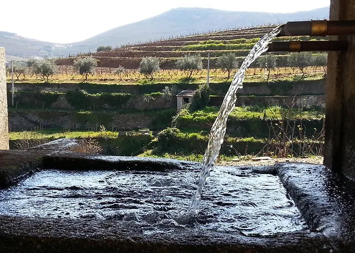 O Ze Ja Dormiu Aqui 度假居 *