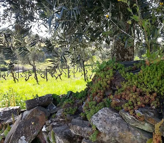 度假居 O Ze Ja Dormiu Aqui