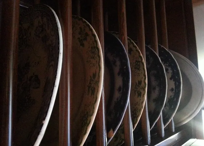 O Ze Ja Dormiu Aqui 度假居