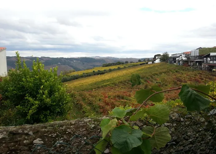 度假居 O Ze Ja Dormiu Aqui Celeiros