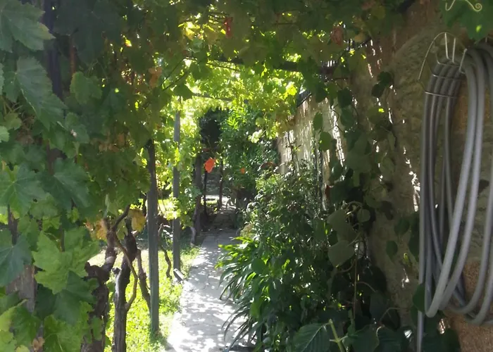 度假居 O Ze Ja Dormiu Aqui Celeiros