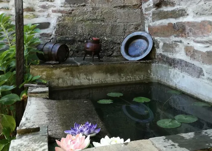 O Ze Ja Dormiu Aqui * Celeiros