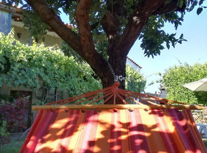 O Ze Ja Dormiu Aqui *