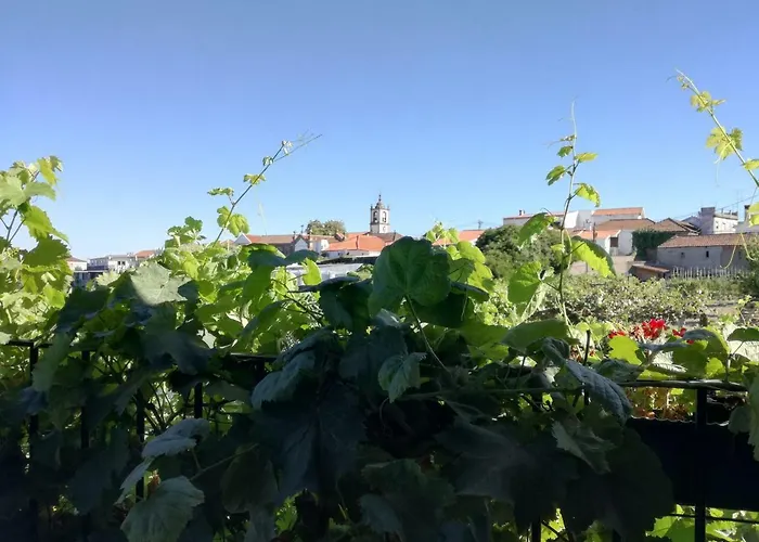 O Ze Ja Dormiu Aqui 度假居