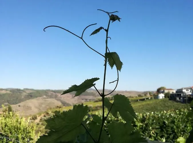 O Ze Ja Dormiu Aqui Ferienhaus *