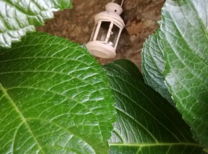 Ferienhaus O Ze Ja Dormiu Aqui *