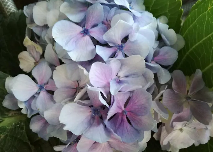 O Ze Ja Dormiu Aqui 度假居 *