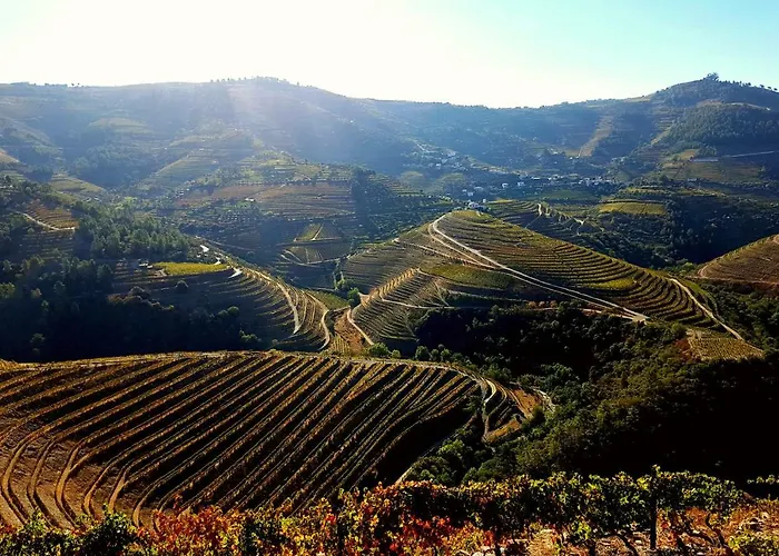 O Ze Ja Dormiu Aqui Celeiros