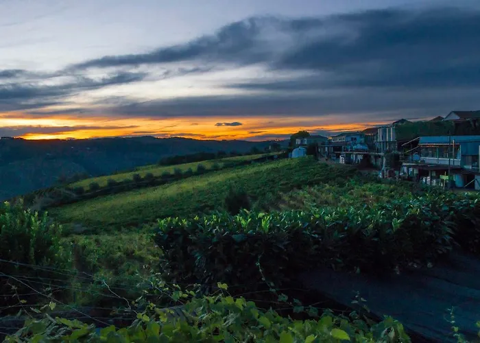 O Ze Ja Dormiu Aqui 度假居 Celeiros