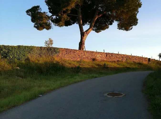 度假居 O Ze Ja Dormiu Aqui Celeiros